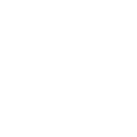 档案查询